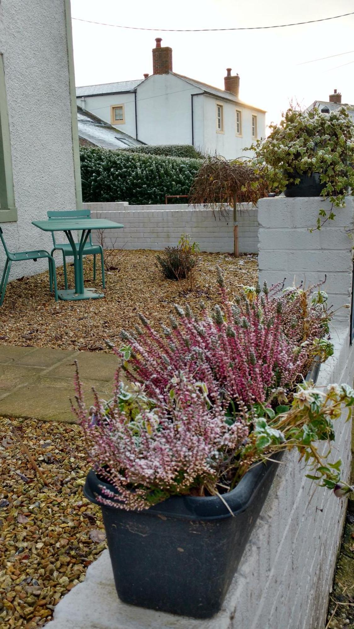 Midtown Farm Bed & Breakfast Easton  ภายนอก รูปภาพ