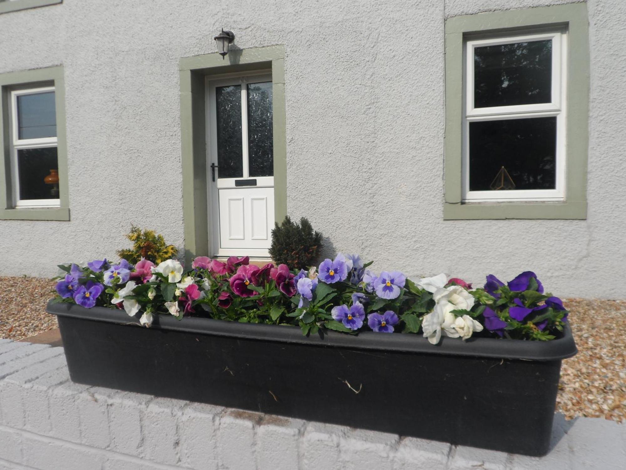 Midtown Farm Bed & Breakfast Easton  ภายนอก รูปภาพ